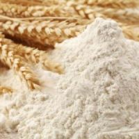 Flour Sale For Good Price