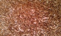 new crop flax seeds