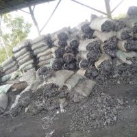 Hardwood Charcoal