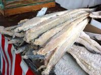 Quality Grade A Dried StockFish / Frozen Stock Fish for sale