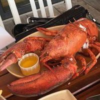 WHOLE WFROZEN LOBSTER / FROZEN LOBSTER TAIL / FRESH LIVE LOBSTER