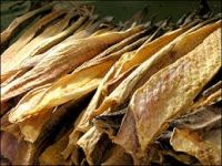 Quality Grade A Dried StockFish / Frozen Stock Fish for sale