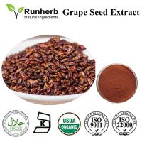 Grape Seed Extract