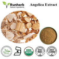 Angelica Root Extract