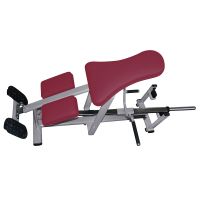 Realleader Fitness Equipment Back and Arm Trainer (FW-1011)