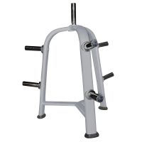Realleader Fitness Equipment Plate Rack (FW-1016)
