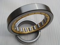 Cylindrical Roller Bearing NU238M