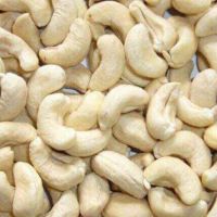 Cashew /Cashew Nuts/ Cashew Kernels ww240/ ww320/ ws/ lp hot sales