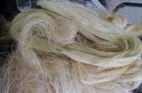 100% Natural Raw Sisal Fiber