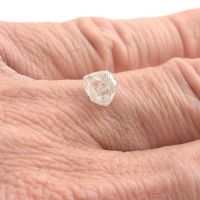 Rough diamond champagne and White raw uncut diamond