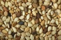 GOOD QUALITY SESAME SEEDS