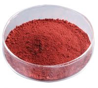 High Grade Pigment Iron Oxide Red 101 for Concrete and Cement