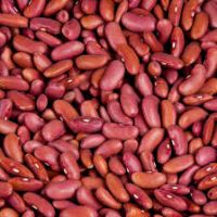 Premium Quality Red Kidney Beans