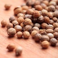 Coriander seeds from Bulgaria