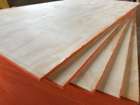 building PINEPLEX good quality 4x8  radiata pine plywood for construction