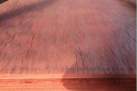 Hot sell rotary cut 1.5mm thickness maple wood veneer for skateboard veneer face 0.1mm to 0.8mm okoume, bintangor, eucalyptus, polor veneer for all around world market