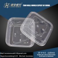 disposable thin wall food container mould