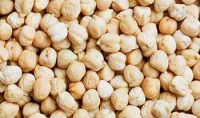 Round Kabuli chickpeas for export at best prices