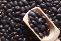 Best grade black beans for export