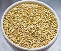 Top quality organice quinoa available for sale