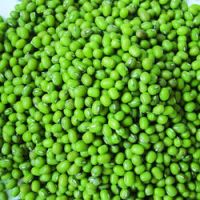 Top grade green mung beans for exportation