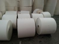 PE coated papers