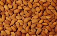 Wholesale Almonds/ Almond Kernels