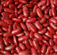 Grade A Long Red Kidney Beans/ Red Kidney Beans/Small Red Kidney Beans