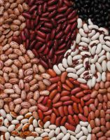 White and Red Kidney beans