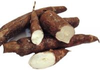 Good Selling starch Tapioca /Cassava/ Manioc Native Starch food grade