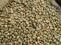 High Quality Dried Robusta Coffee