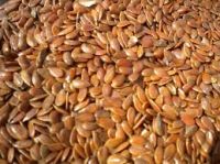 BEST QUALITY FLAX SEED