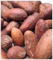 100% Pure Bitter Kola Nut /Healthy Garcinia Kola(Bitter Kola