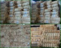 Best price ! 100% natural sisal fiber