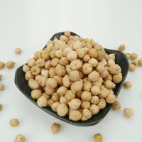 2017 Best Quality Kabuli Chickpeas for sale CHEAP