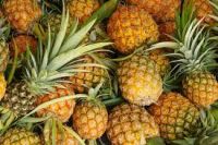 Grade A Fresh Pineapple For Sale