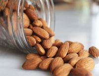 Almond Nuts, Cashew Nuts, Pistachio Nut from the farm