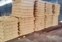 Grade A Natural palm fiber / Grade A Sisal Fiber / Palm Fiber