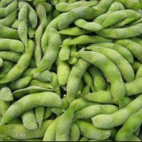 New crop Frozen Soybean, frozen green soybeans frozen green