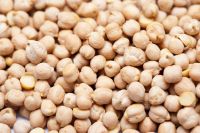 Kabuli Chickpeas For Sale, Organic Dried Chickpeas