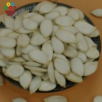 Wholesale high quality snow white pumpkin seeds with low price