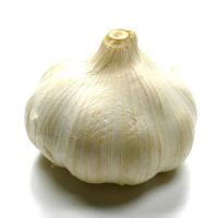 Fresh garlic