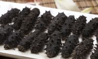 High Quality Dried Wild Sea Cucumber