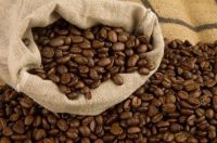 Coffee Beans Arabica and Robusta and Civet Coffee