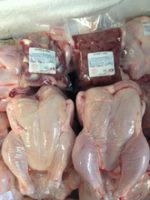 Top quality Frozen Whole Chicken, Chicken Feet, Wings, Legs for supply