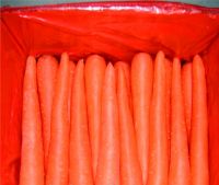 2017 Fresh New Carrot Price , new crop organic fresh carrot 10kg carton packing