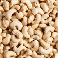 Cheap Raw Cashew Nut/ Cashew Nuts W180 W240 W320 W450
