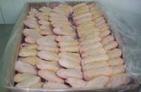 Wholesale Frozen Chicken Wings At Factory Prices Grade A