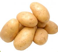 New Harvest 2017 Fresh Potato