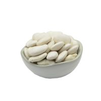 Wholesale Supply Natural Plant Pure White Kidney Bean